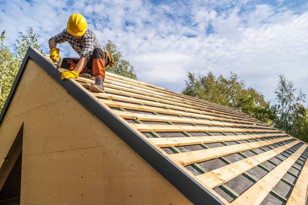 Best Shingle Roofing Installation  in Arcadia, WI