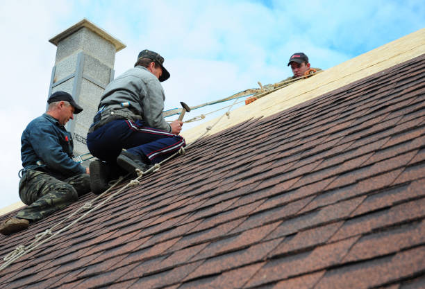 Best Roof Maintenance Services  in Arcadia, WI