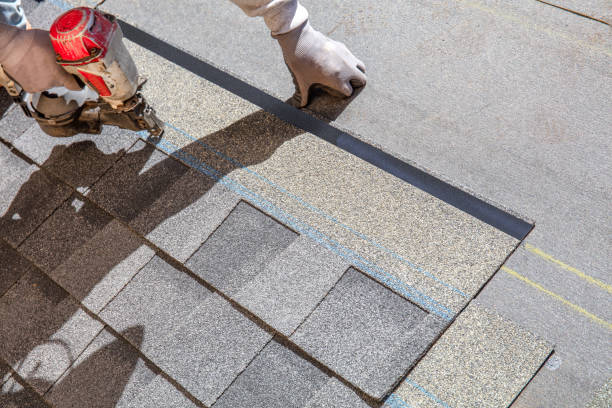 Best Metal Roofing Contractor  in Arcadia, WI